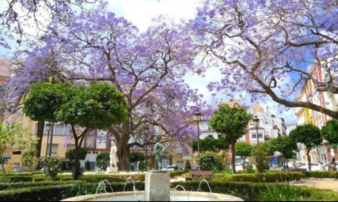 Historical Center Ollerias Apartment Malaga Luaran gambar